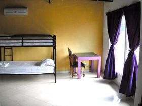 Nicki art surf hostel room